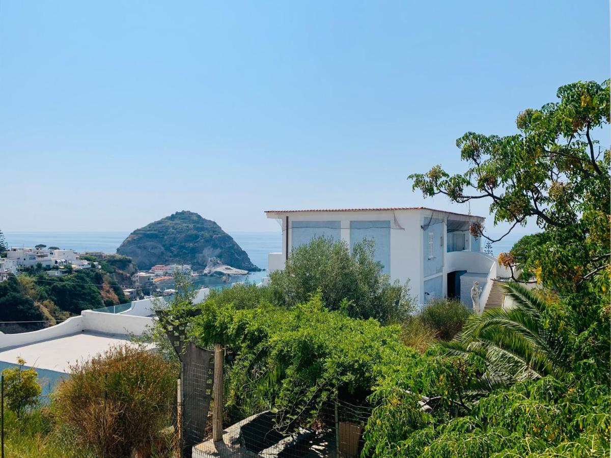 Pensione Casa Verde Sant'Angelo  외부 사진